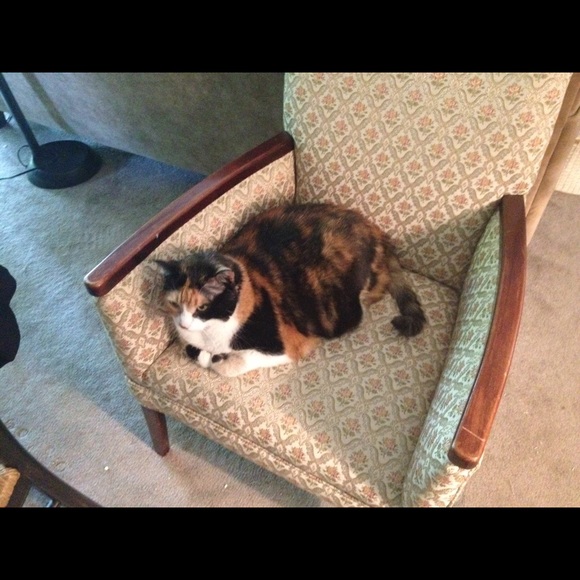 Meet your Posher, Katherine - Picture 7 of 8